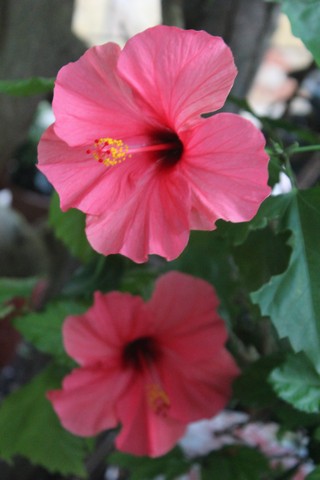 Name:  IMG_4287.jpg
Views: 420
Size:  52.2 KB