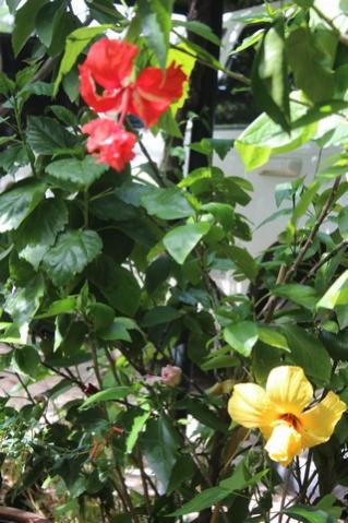 Name:  IMG_4686.jpg
Views: 419
Size:  36.7 KB