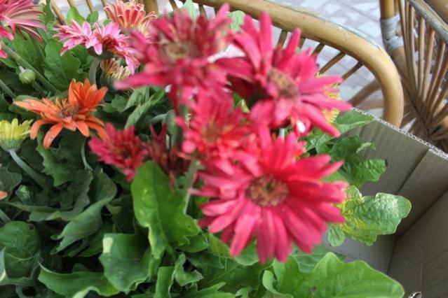 Name:  IMG_4419.jpg
Views: 430
Size:  47.1 KB