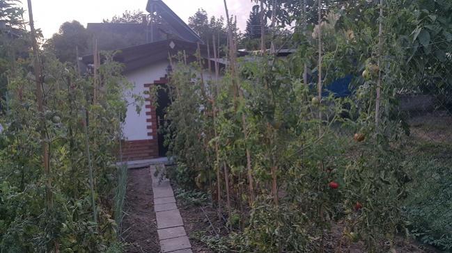 Name:  20160910_071322.jpg
Views: 734
Size:  53.0 KB