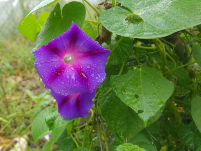 Name:  20160921_130251-1.jpg
Views: 561
Size:  45.7 KB