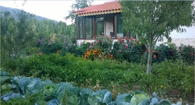 Name:  bahe 25.09.2016.jpg
Views: 928
Size:  53.3 KB
