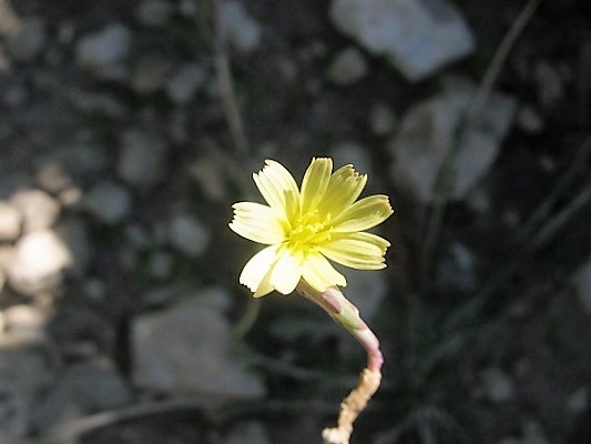 Name:  kr ..jpg
Views: 703
Size:  63.0 KB