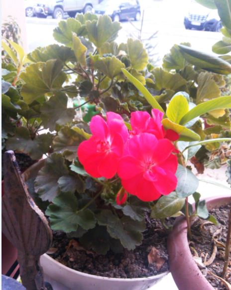 Name:  sa2.JPG
Views: 271
Size:  56.6 KB