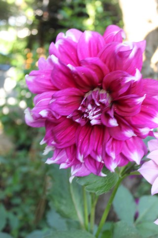 Name:  IMG_5088.jpg
Views: 446
Size:  64.6 KB