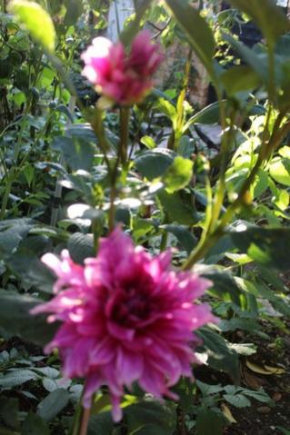 Name:  IMG_5092.jpg
Views: 446
Size:  32.8 KB