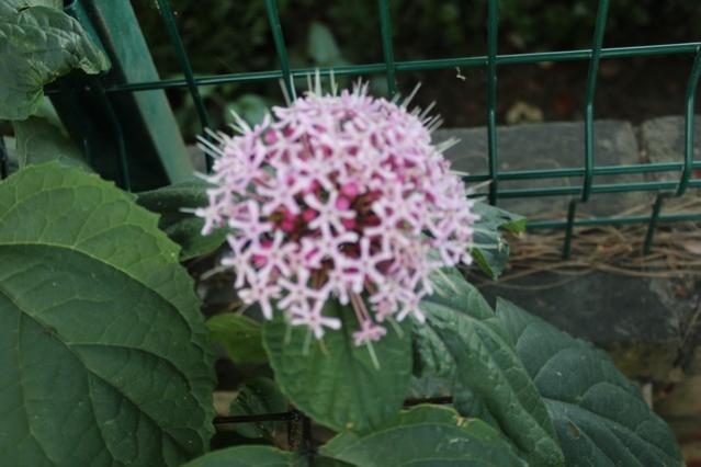 Name:  IMG_5350.jpg
Views: 421
Size:  36.4 KB
