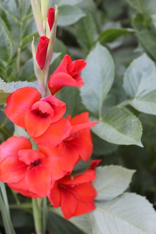 Name:  IMG_5328.jpg
Views: 297
Size:  55.5 KB