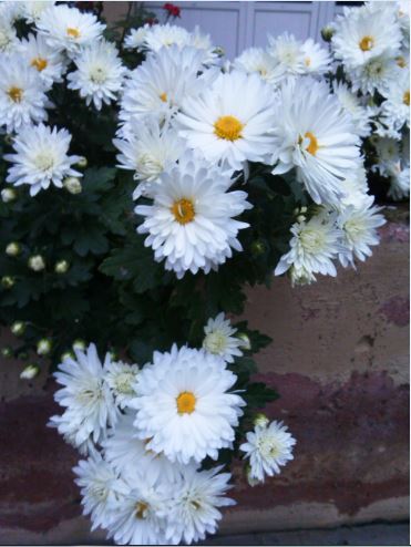 Name:  ks4.JPG
Views: 313
Size:  43.3 KB