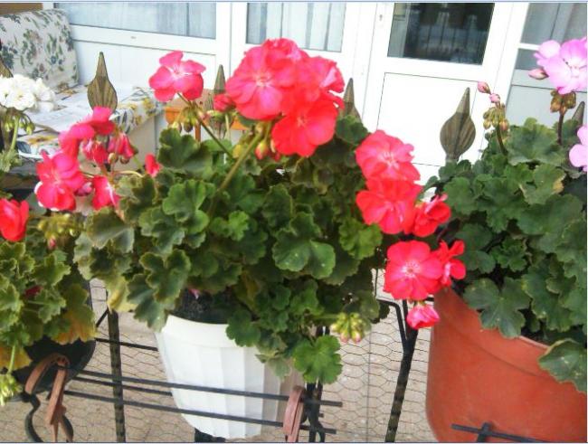 Name:  sr5.jpg
Views: 353
Size:  59.3 KB