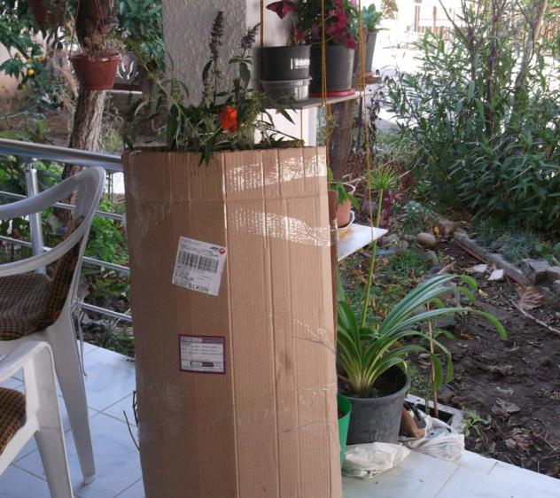 Name:  DSCF9876.jpg
Views: 850
Size:  70.2 KB