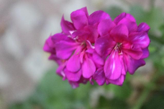 Name:  IMG_5571.jpg
Views: 366
Size:  25.5 KB