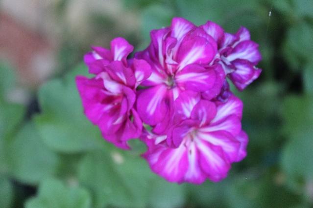 Name:  IMG_5570.jpg
Views: 360
Size:  28.8 KB