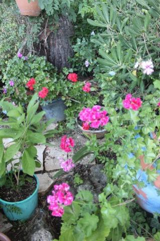 Name:  IMG_5629.jpg
Views: 361
Size:  41.9 KB