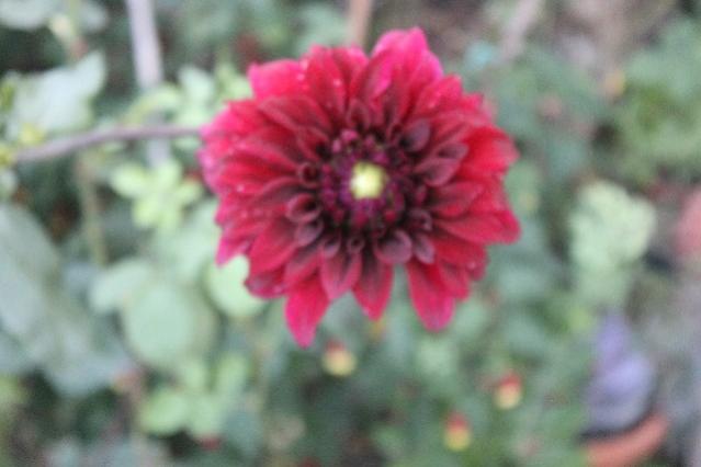 Name:  IMG_5529.jpg
Views: 374
Size:  27.6 KB