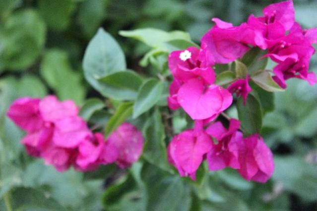 Name:  IMG_5528.jpg
Views: 366
Size:  33.7 KB