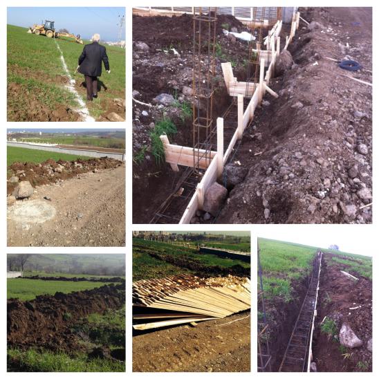 Name:  IMG_5791_Fotor_Collage.jpg
Views: 1731
Size:  73.6 KB