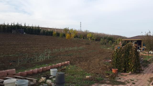 Name:  20161106_160441 (Copy).jpg
Views: 1071
Size:  45.8 KB