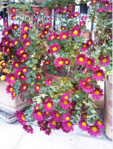 Name:  kas3.JPG
Views: 290
Size:  61.7 KB