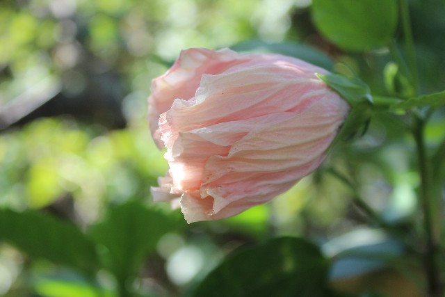 Name:  IMG_5699.jpg
Views: 277
Size:  63.9 KB