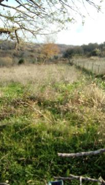 Name:  Ekran grnts_2016-11-14_20-52-08.jpg
Views: 1281
Size:  18.2 KB