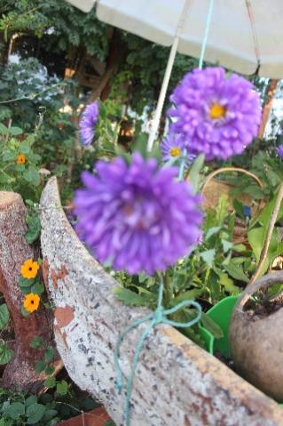Name:  IMG_5742.jpg
Views: 533
Size:  34.3 KB