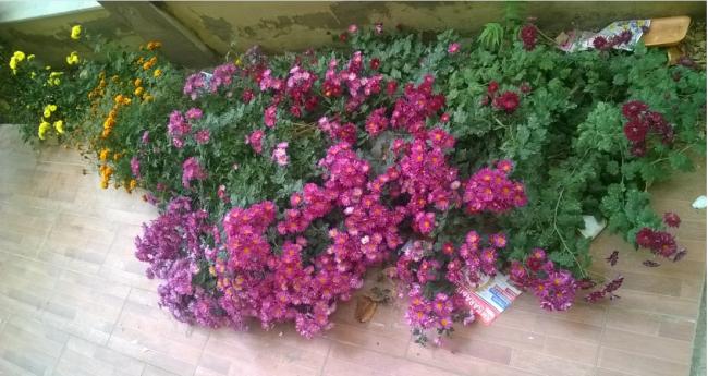 Name:  kasmpat apartman 2016.jpg
Views: 797
Size:  49.6 KB
