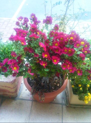 Name:  ln3.JPG
Views: 550
Size:  44.6 KB