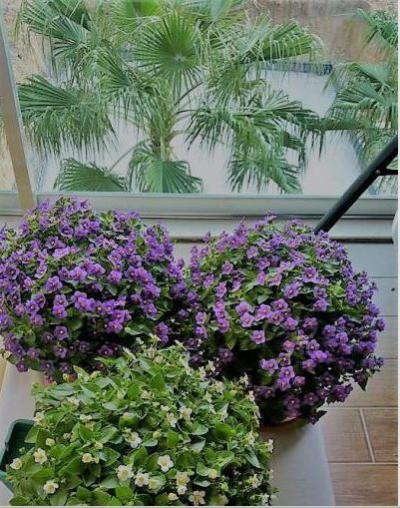 Name:  Ekran Alnts.jpg
Views: 564
Size:  54.0 KB