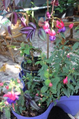 Name:  IMG_5887.jpg
Views: 393
Size:  34.0 KB