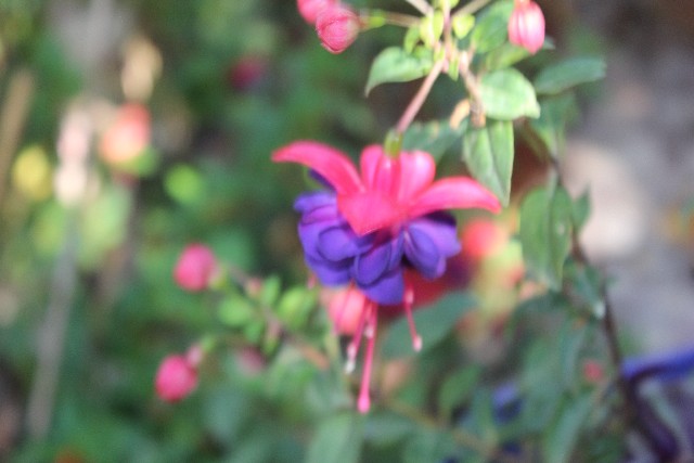 Name:  IMG_5890.jpg
Views: 389
Size:  69.1 KB