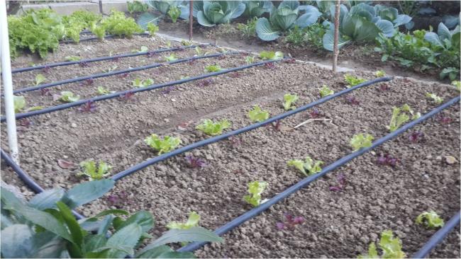 Name:  kıv2.jpg
Views: 586
Size:  64.4 KB