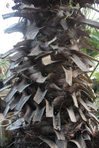 Name:  IMG_6028.jpg
Views: 287
Size:  36.3 KB