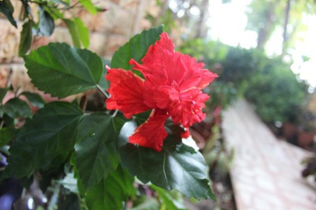 Name:  IMG_6000.jpg
Views: 786
Size:  32.8 KB
