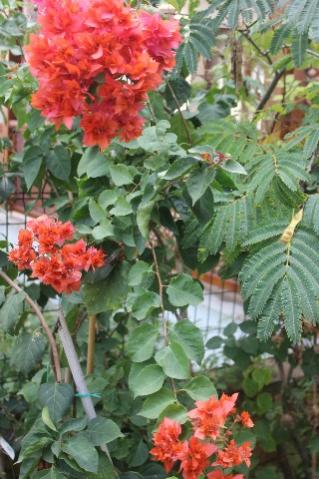 Name:  IMG_6479.jpg
Views: 757
Size:  35.9 KB