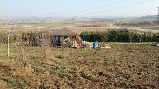 Name:  20161211_142524 (Copy).jpg
Views: 825
Size:  53.3 KB