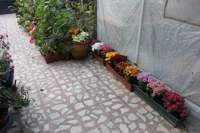 Name:  IMG_6282.jpg
Views: 745
Size:  62.4 KB