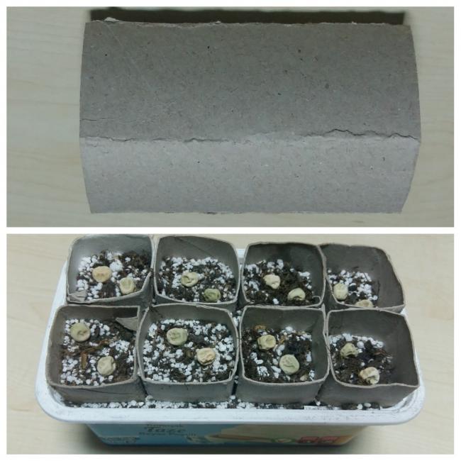 Name:  Collage_Fotorbezelye.jpg
Views: 1254
Size:  52.3 KB