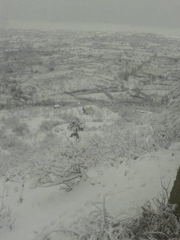 Name:  kuzyaka2.jpg
Views: 1594
Size:  22.0 KB