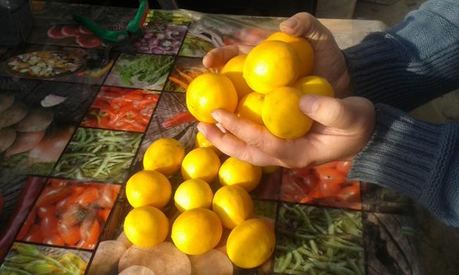 Name:  20161204_151932.jpg
Views: 501
Size:  39.6 KB