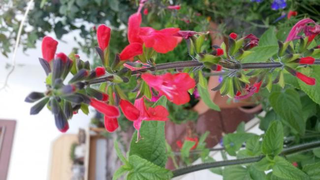 Name:  20160724_170314.jpg
Views: 958
Size:  37.6 KB
