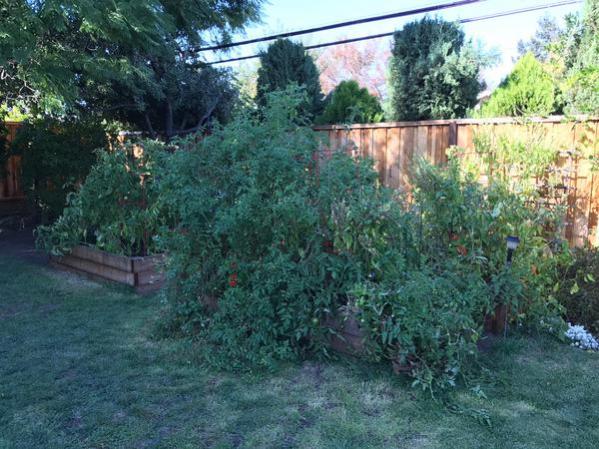 Name:  IMG_1316.jpg
Views: 1279
Size:  64.4 KB