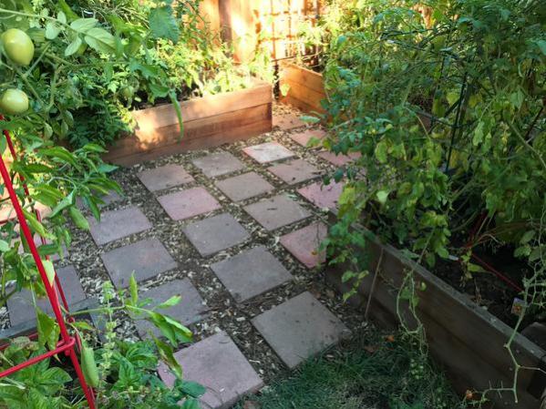Name:  IMG_1326.jpg
Views: 1349
Size:  66.9 KB