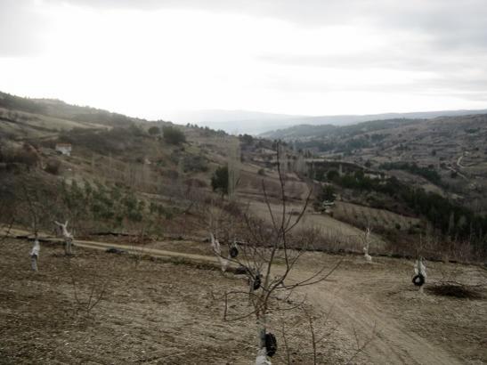 Name:  genel.jpg
Views: 1023
Size:  31.7 KB