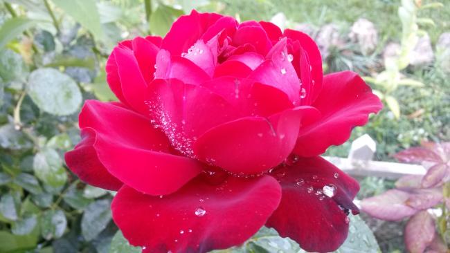 Name:  20160804_173858.jpg
Views: 799
Size:  35.2 KB