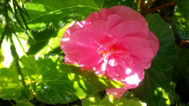 Name:  20160811_094028.jpg
Views: 800
Size:  38.2 KB