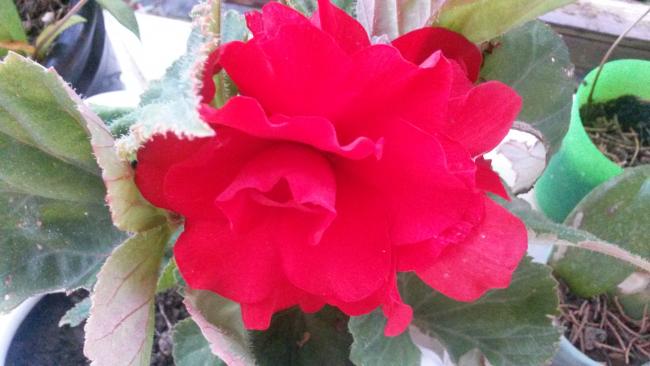 Name:  20160803_200348.jpg
Views: 801
Size:  34.9 KB