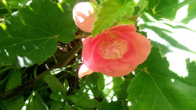 Name:  20160815_100926.jpg
Views: 791
Size:  32.8 KB