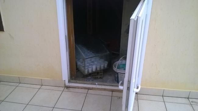 Name:  tohum atda.jpg
Views: 504
Size:  21.1 KB