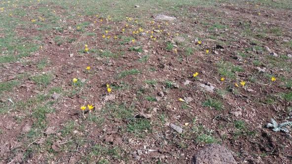 Name:  mart11cumartesi.jpg5.jpg
Views: 718
Size:  69.8 KB